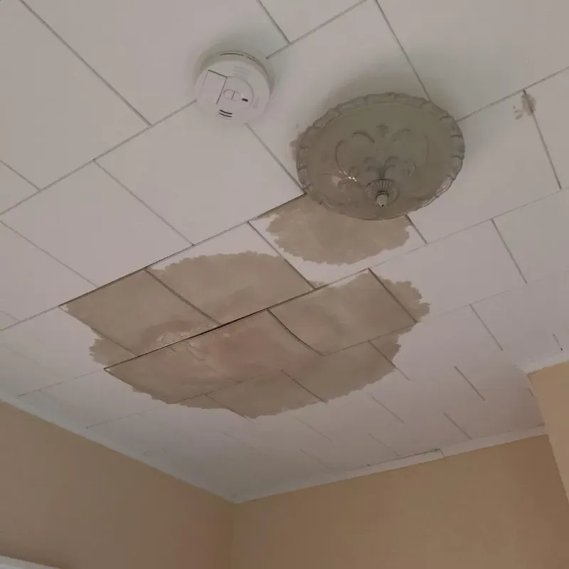Ceiling Water Damage Repair in Countryside, VA