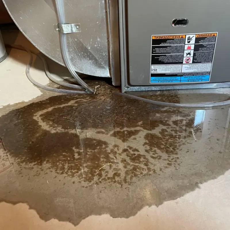 Pipe Burst and Leak Restoration in Countryside, VA